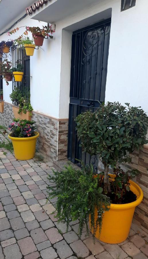 Ferienwohnung Apartamento En Casco Historico Estepona Exterior foto